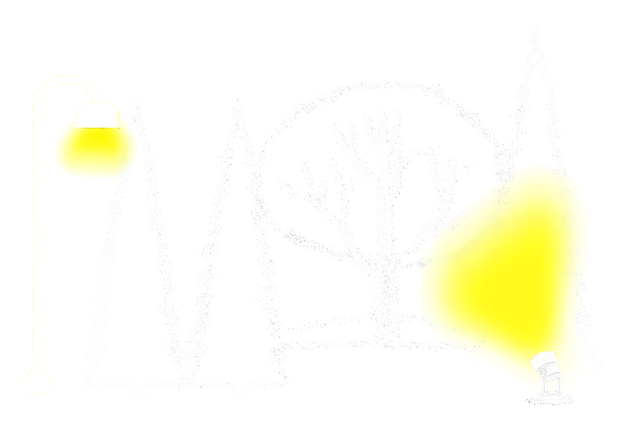 White Trees_light