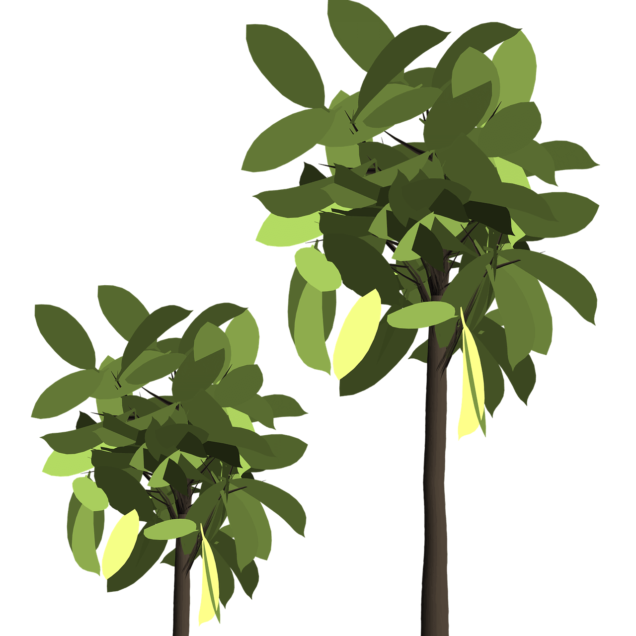 foliage