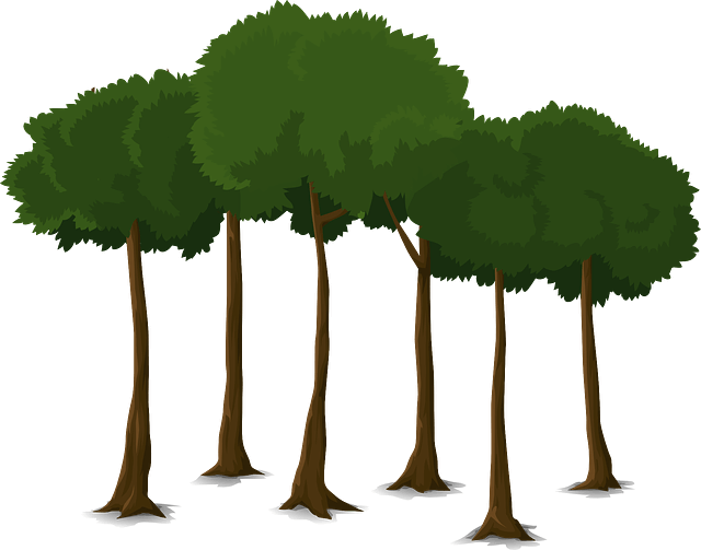 Order Trees