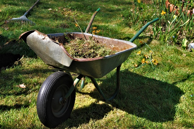 wheelbarrow